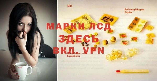 твердый Арсеньев