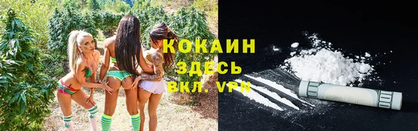 твердый Арсеньев