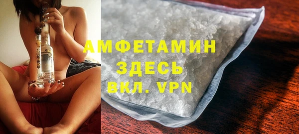твердый Арсеньев