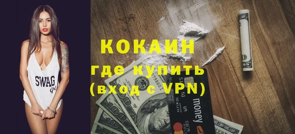 твердый Арсеньев