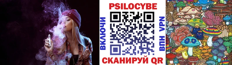 Псилоцибиновые грибы Psilocybe  Купить где  Ардатов 